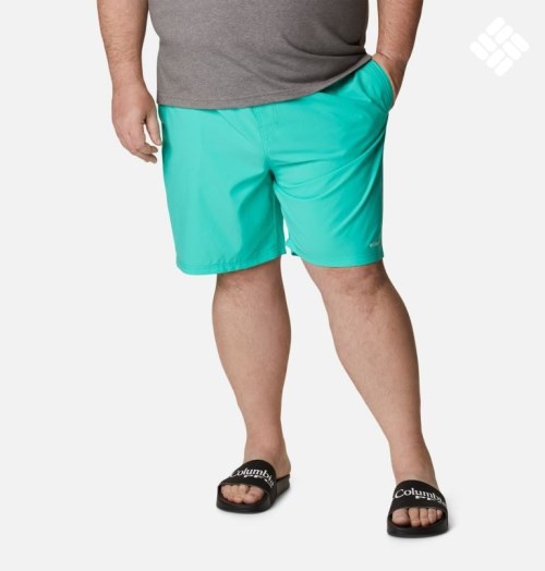 Men's Columbia Summertide Stretch Shorts Turquoise | Plus Size CA-DC43L